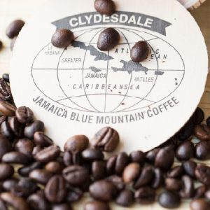 jamaica blue montain